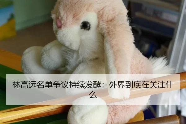 林高远名单争议持续发酵：外界到底在关注什么