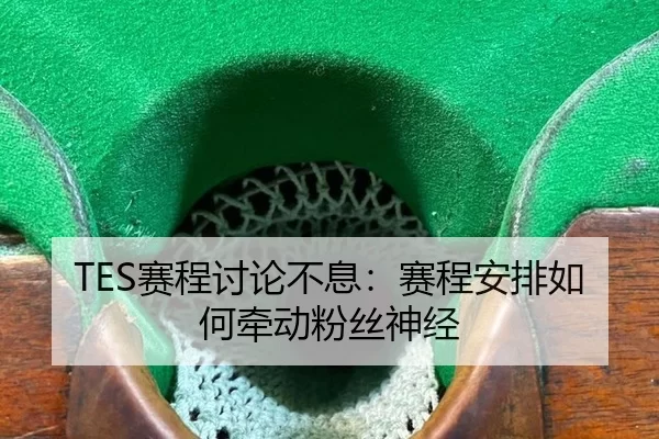 TES赛程讨论不息：赛程安排如何牵动粉丝神经